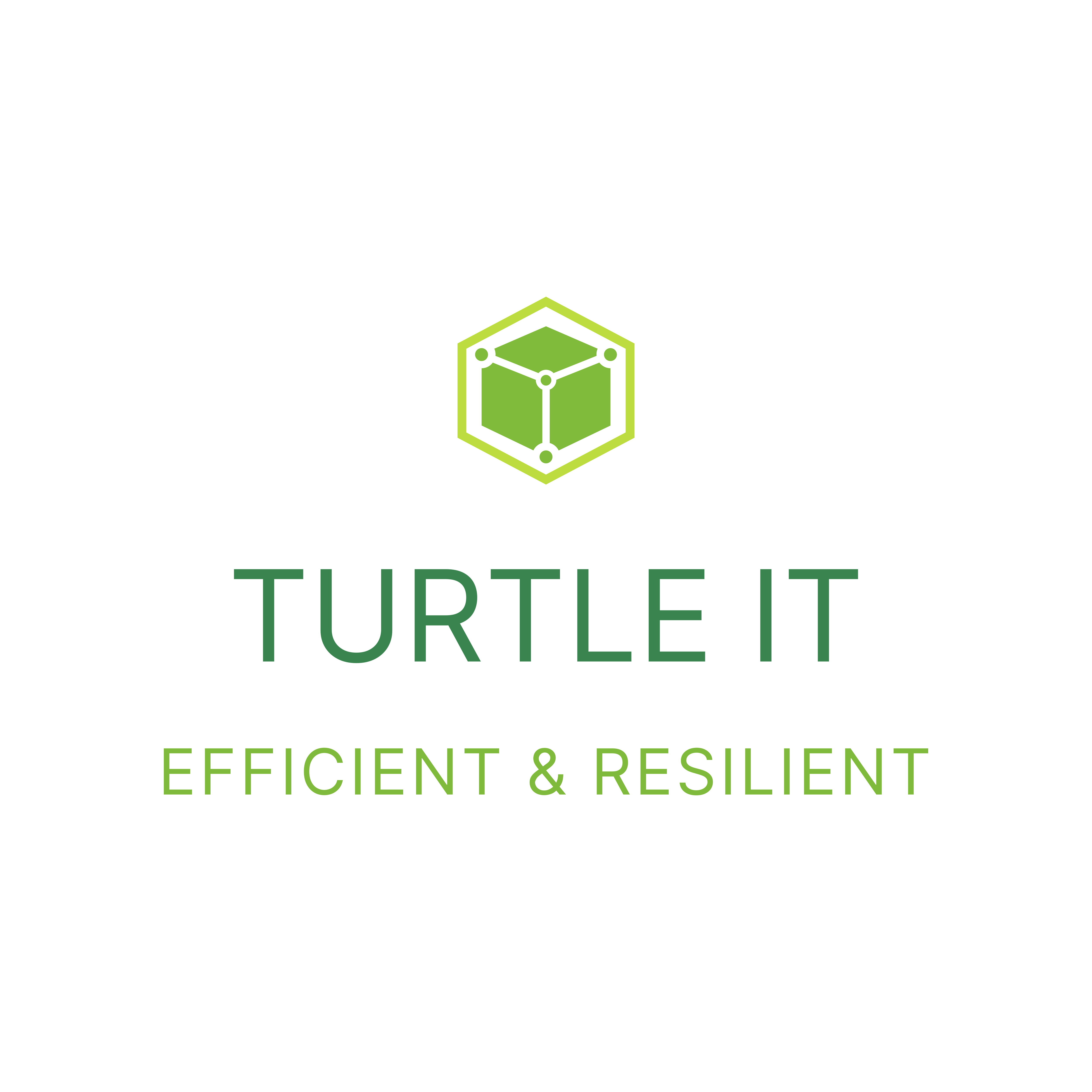 Turtle-IT Logo